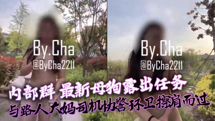 查小理内部群最新母狗露出任务与路人大妈司机协警环卫的擦肩而过封面