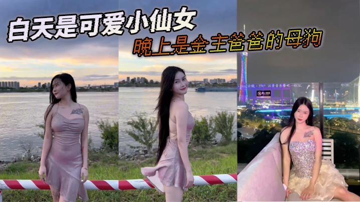 白天是可爱小仙女晚上是金主爸爸的母狗的封面