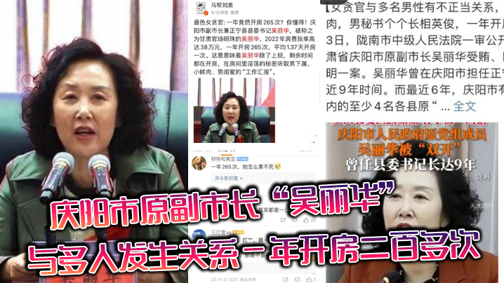 庆阳市原副市长吴丽华与多人发生关系一年开房二百多次的领导是真忙啊封面