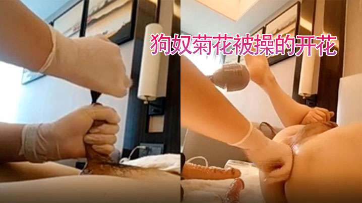 狗奴舔姨妈巾狗奴菊花被操的开花的封面