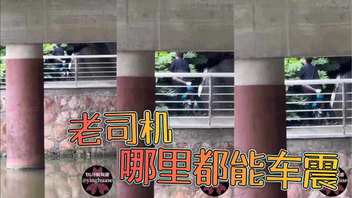老司机哪里都能车震的封面