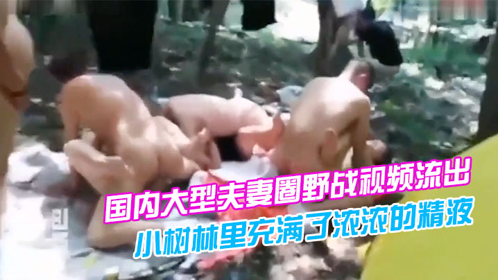 国内大型夫妻圈野战视频流出我朋友想知道这是哪里感觉.小树林里充满了浓浓的精液味道封面