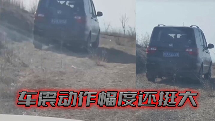 车震动作幅度还挺大.封面
