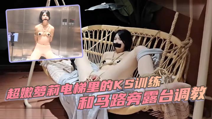 超嫩萝莉电梯里的KS训练和马路旁露台调教.封面