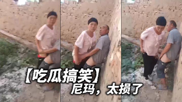 吃瓜搞笑尼玛太损了.封面