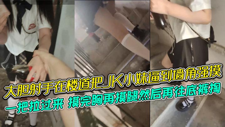 大胆射手在楼道把JK小妹逼到墙角强摸一把拉过来摸完.胸再摸腿然后再往底裤掏牛逼封面