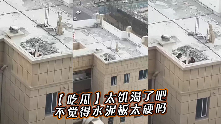 吃瓜太饥渴了吧不觉得水泥板太硬吗.封面