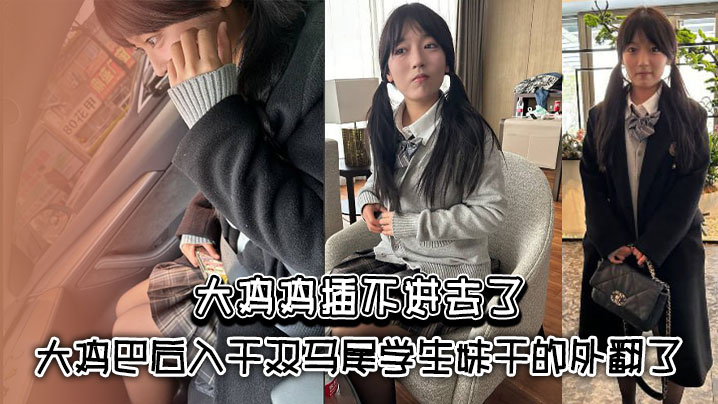 大鸡鸡插不进去了_大鸡巴后入干双马尾学生妹干的外翻.了封面