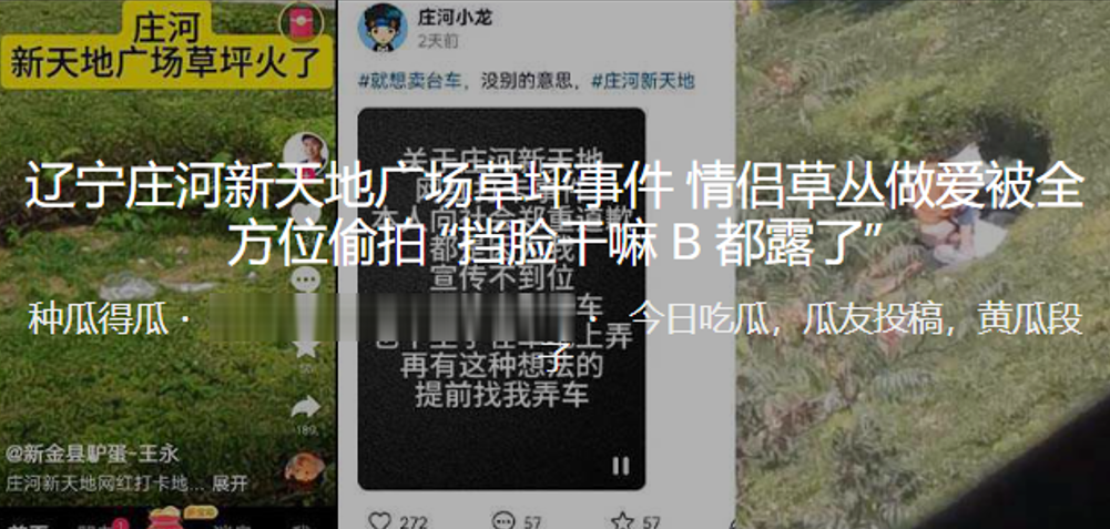 辽宁庄河新天地广场草坪事件情侣草丛做爱被全方位偷拍.挡脸干嘛B都露了封面