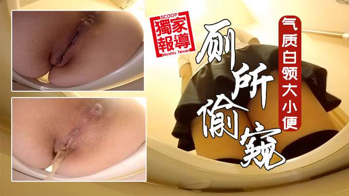 牛逼厕所偷窥公共女坐便坑内镜头多位气质白领大小便.封面