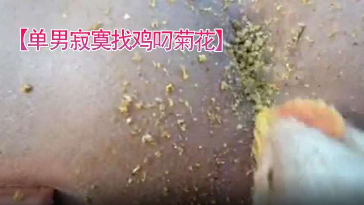 单男寂寞找鸡叼菊花菊花看起来好紧逼.封面