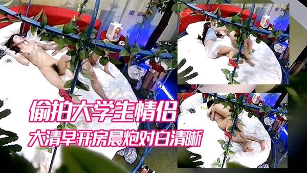 酒店偷拍出角度不错的情趣酒店浴缸摇篮床偷拍大学生情侣大清早开房晨炮对 白清晰封面