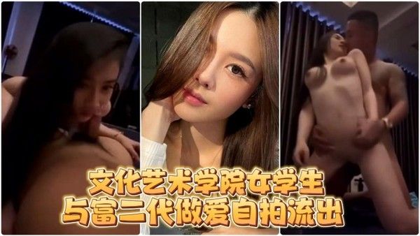 自 拍流出文化艺术学院女学生与富二代做爱自拍流出封面