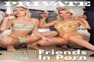 Friends In Porn封面
