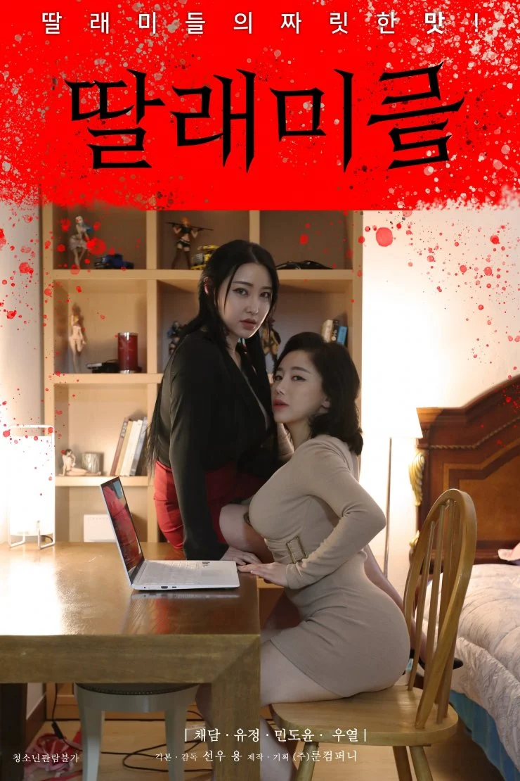 小女儿们封面