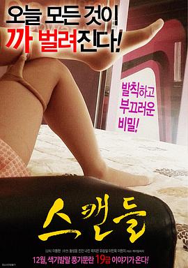丑闻封面