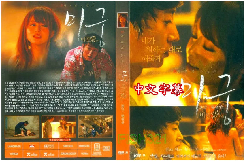迷宫的爱 2015封面