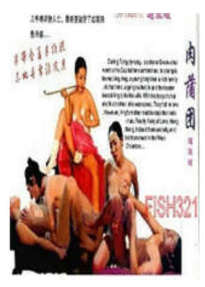 韩国版肉蒲团 2011封面