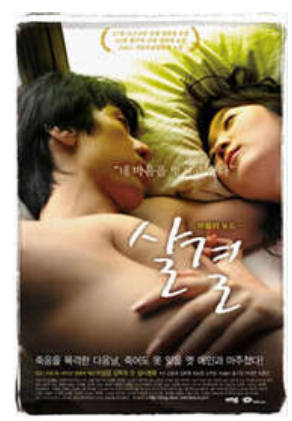 肌肤的纹理 2007封面