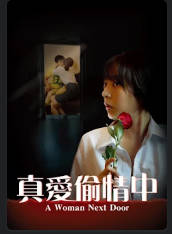 真爱偷情中 2001封面