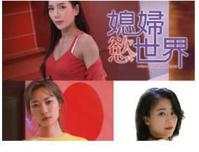 媳妇慾世界 1990封面
