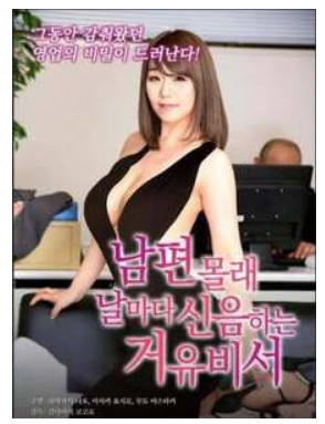 女秘书的条件 2018封面