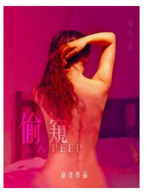 偷窥. 2012封面