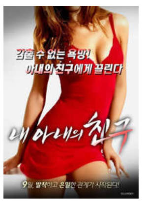 我老婆的朋友. 2015封面