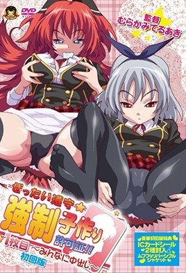 2012.12-绝对遵守☆强制造人许可证！！1封面