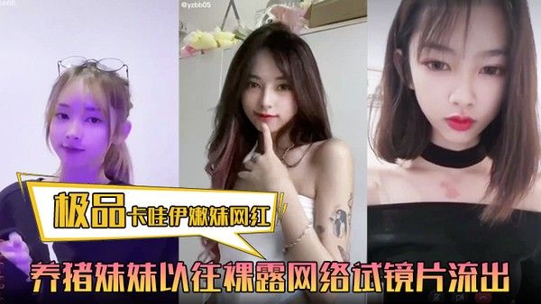 极品卡哇伊嫩妹网红养.猪妹妹以往裸露网络试镜片流出封面