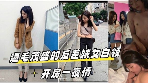 高端泄密流出 视图酒店约炮逼毛茂盛的反差婊女白领开房一夜情封面