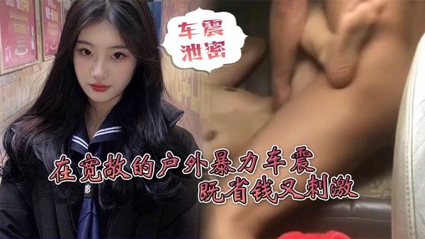 车震 泄密省钱小妙招在宽敞的户外暴力车震既省钱又刺激封面