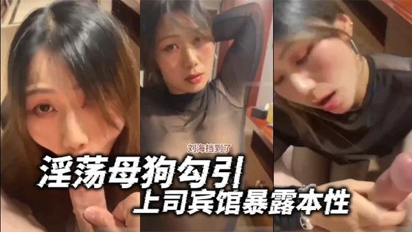 淫.荡母狗勾引上司宾馆暴露本性封面