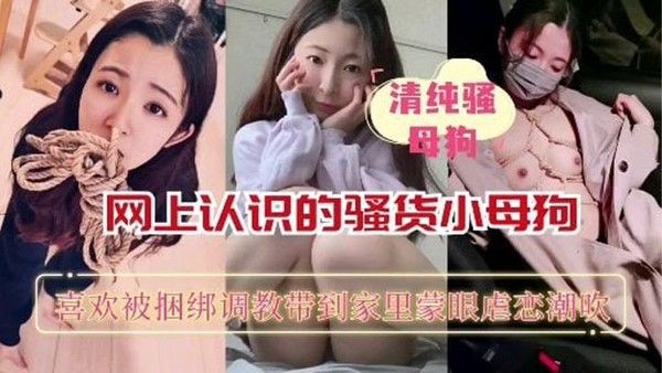 【重磅推荐】网上认.识的骚货小母狗喜欢被捆绑蒙眼调教封面