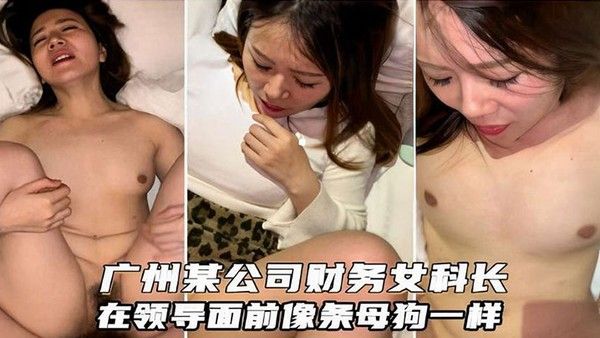 广州某公司财务女科.长在领导面前像条母狗一样封面