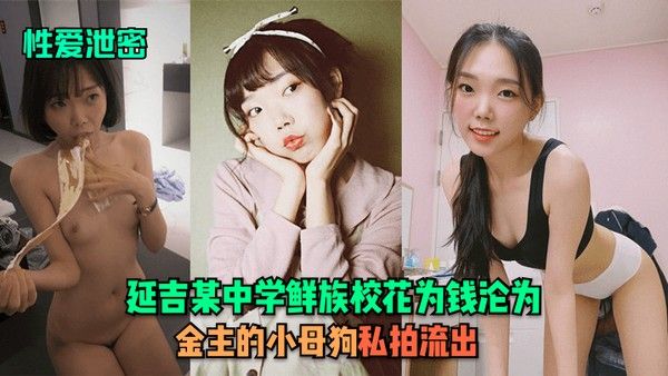 性爱泄密延吉某中学鲜族校花为钱沦为.金主的小母狗私拍流出封面