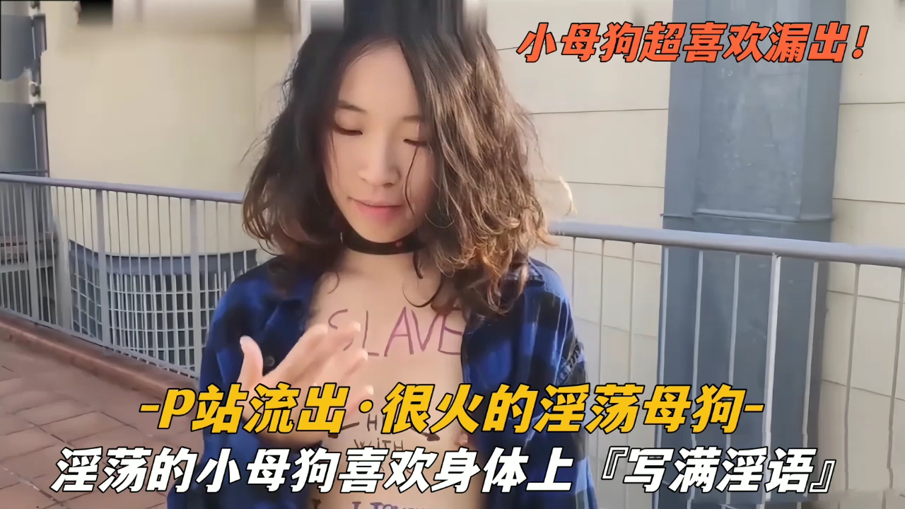 『p站流出』很火的淫荡母狗喜欢身上写满淫语封面