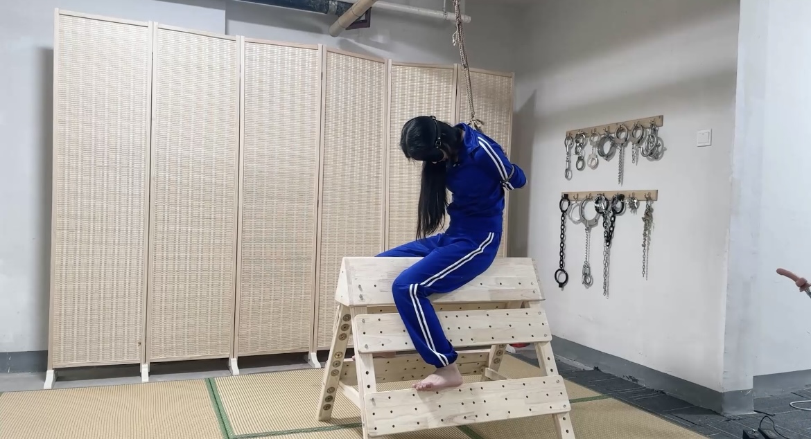 家庭必备装备木马炮制骚货的必备东西封面