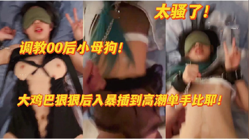 调教00后小母狗太骚了封面