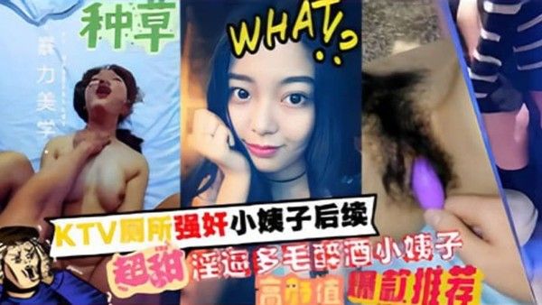家庭乱伦KTV厕所强奸小姨子 后续超甜淫逼多毛醉酒小姨子封面