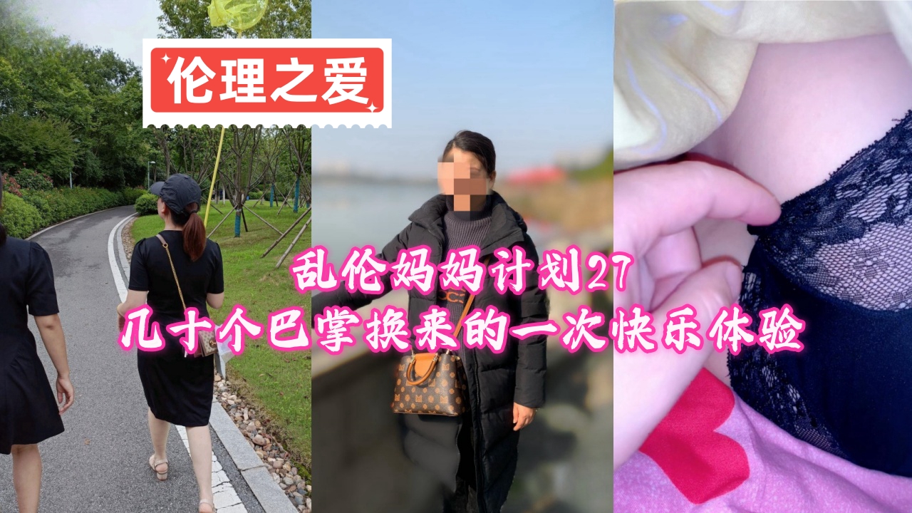 乱伦妈妈计划27几十个巴掌换来的一次快乐体验封面