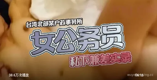台湾骚货公务员的私下兼职生活封面