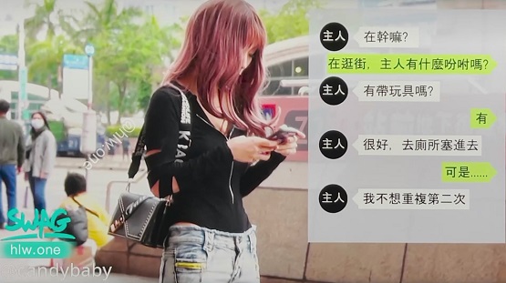 跳蛋搭讪之主人的密令封面