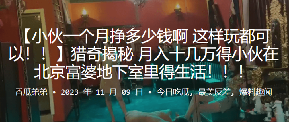 猎奇揭秘_月入十几万得小伙在北京富婆地下室里得生活.封面
