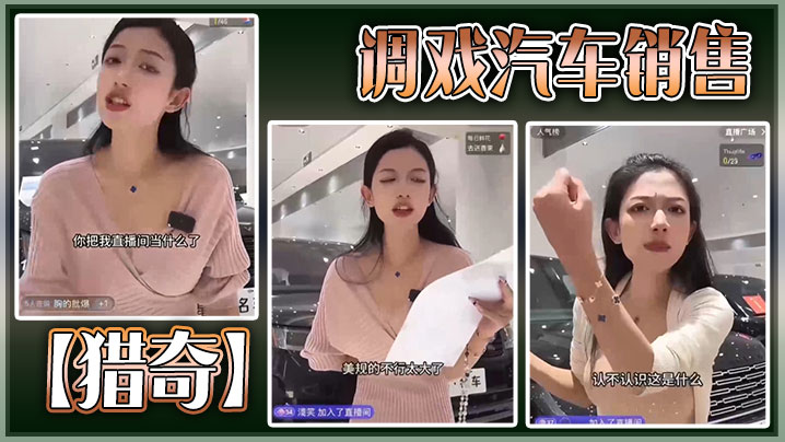 猎奇调戏汽车销售.封面