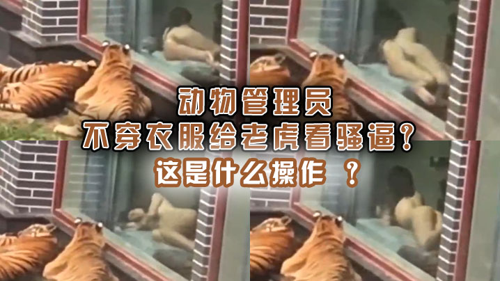 动物管理员不穿衣服给老虎看骚逼这是什么操作.封面
