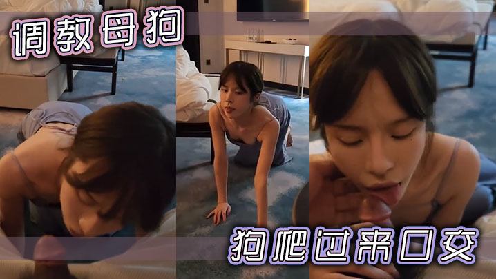 调教母狗狗爬过来口交.封面