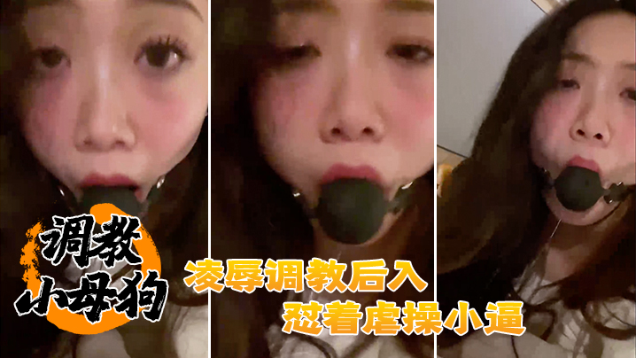调教母狗凌辱后入怼操小逼.封面