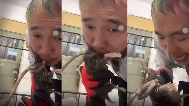 劲爆给老鼠口交什么奇葩性趣.封面