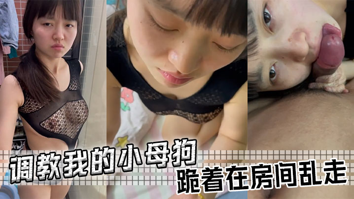 调教我的小母狗跪着在房间乱走.封面